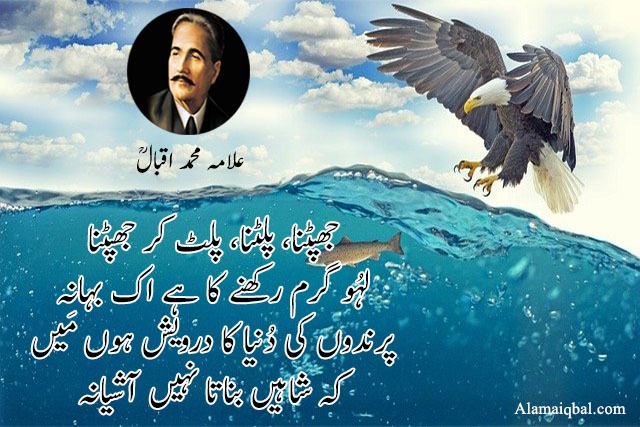 eagle poetry of iqbal