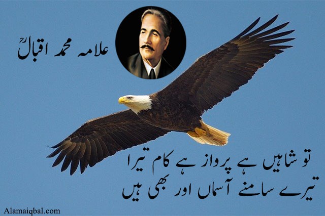 Iqbal tere shaheen poetry