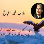 allama iqbal shaheen poetry