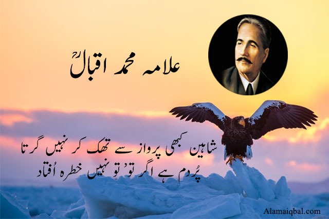 allama iqbal shaheen poetry