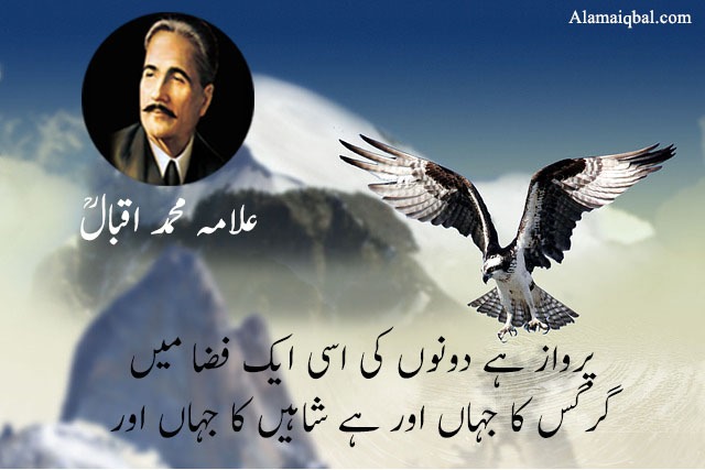 eagle poetry in urdu